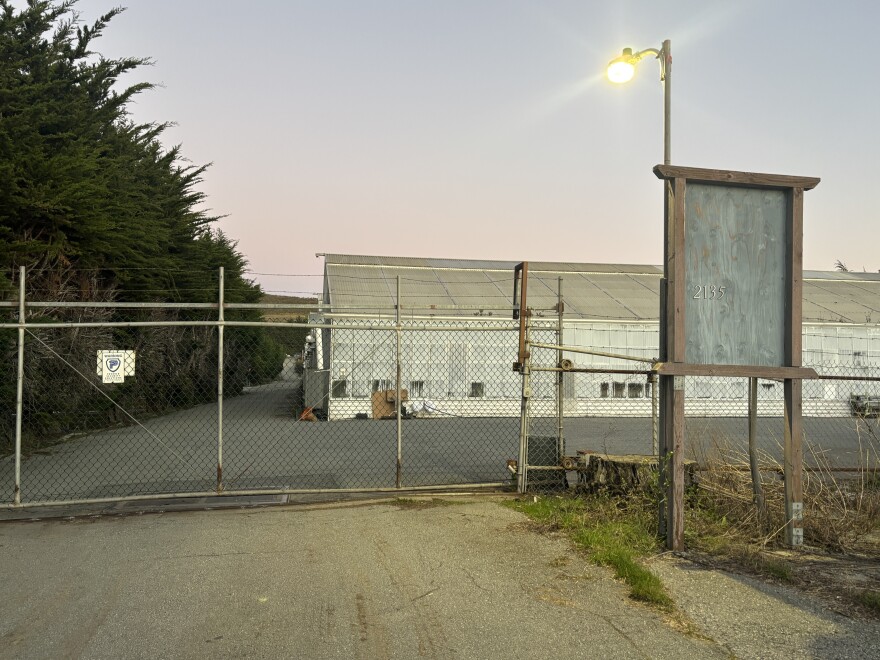 Oscar E. de Leon and his coworkers share the orchid farm where they work.