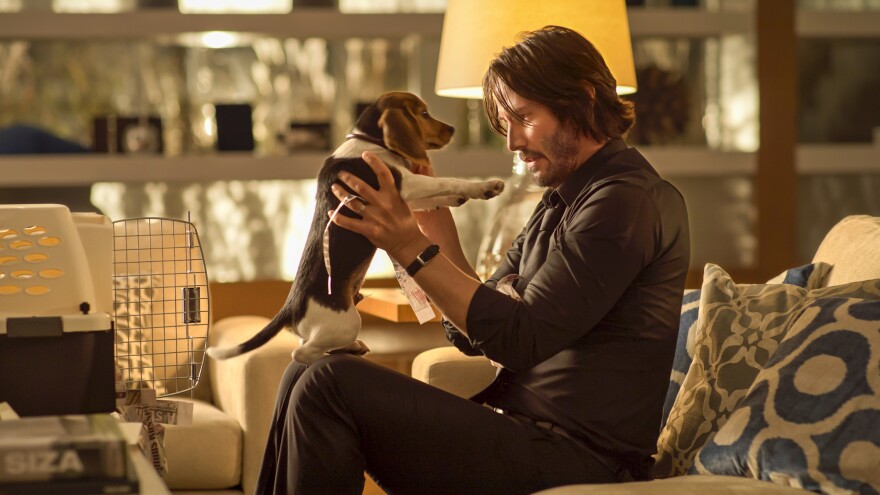 Actor Keanu Reeves as the character John Wick, holding a beagle named "Daisy" from the John Wick film franchise. 