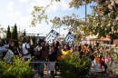 UNCG, NC A&T students walk to the polls for to cast their ballots