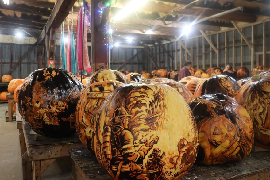 The row of partially-carved giant pumpkins in a barn at Iroquois Park