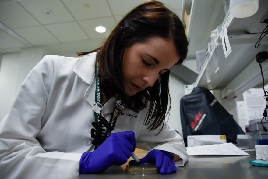 Kayla Conner counting bacteria in a petri dish