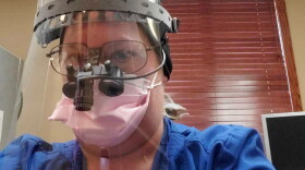 Jeanne Bosecker is president of the Illinois Dental Hygienists Association. The CDC instructs dental workers to use N95 masks when performing routine dental care, or wear surgical masks with a face shield, if N95s are not available.