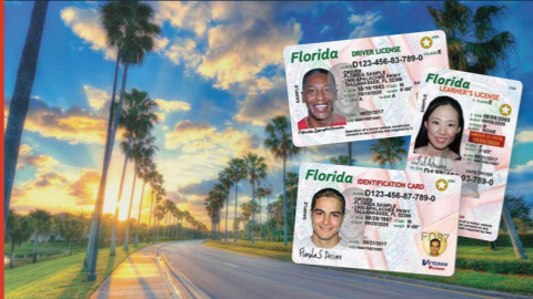 Florida new driver's license holders might need to update their voter registration information.