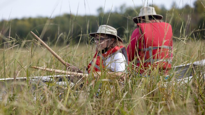 Two people sit in a canoe in a wild rice bed wearing life jackets and wide-brimmed hats