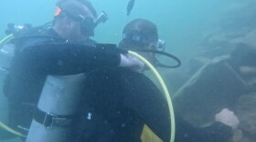 An underwater, slightly blurry close-up picture of two divers in murky blue waters. One appears to be adjusting the equipment on the back of another. 