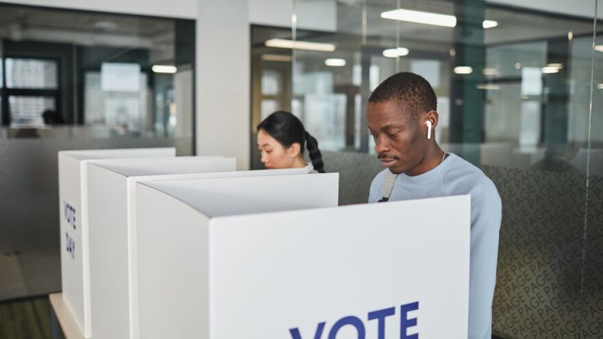 Voters take to voting booths on Election Day.