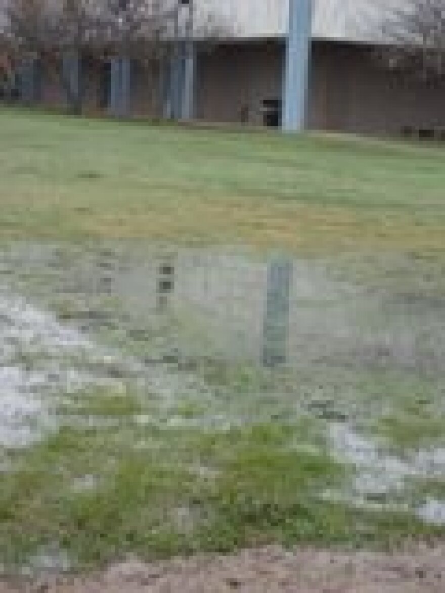 A rain-soaked LSU Shreveport campus after two days of wet weather.