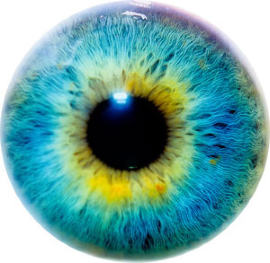 Eye