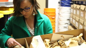 Forensic Anthropologist Kate Spradley examines the remains of an unidentified migrant.