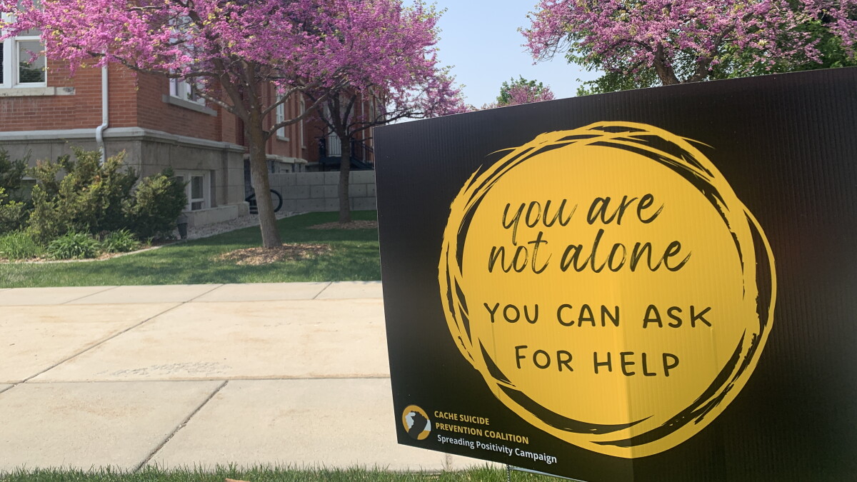 What Cache County officials are doing to curb rising suicide rates - Vimarsana News