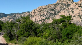 An evergreen oak woodland is in the foreground of this photo with the granite slopes that form the core of the Dragoon Mountains in the background.