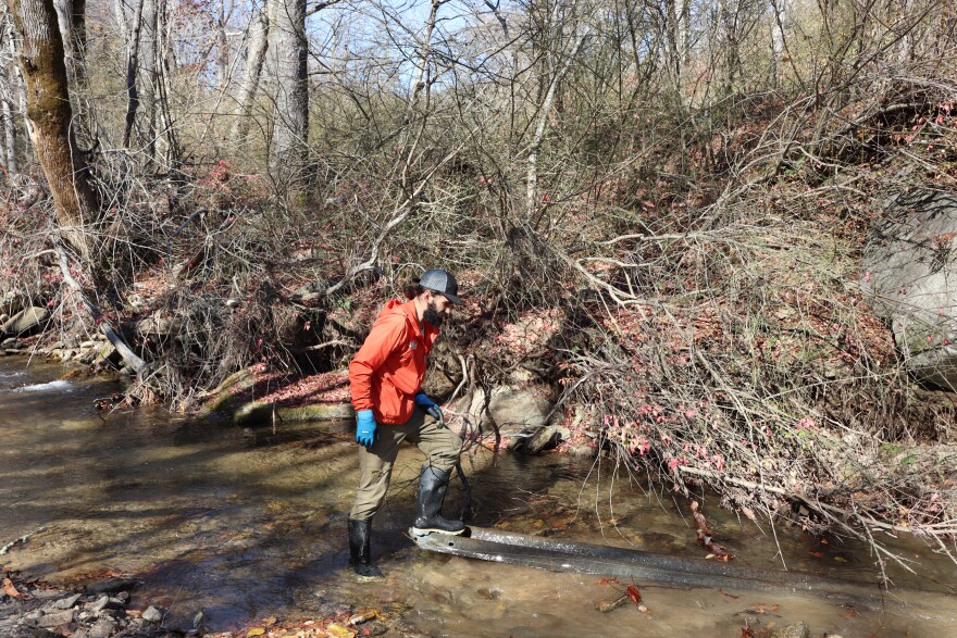 MountainTrue crew member pulling out a guardrail from Hickory Creek on Nov. 12, 2025