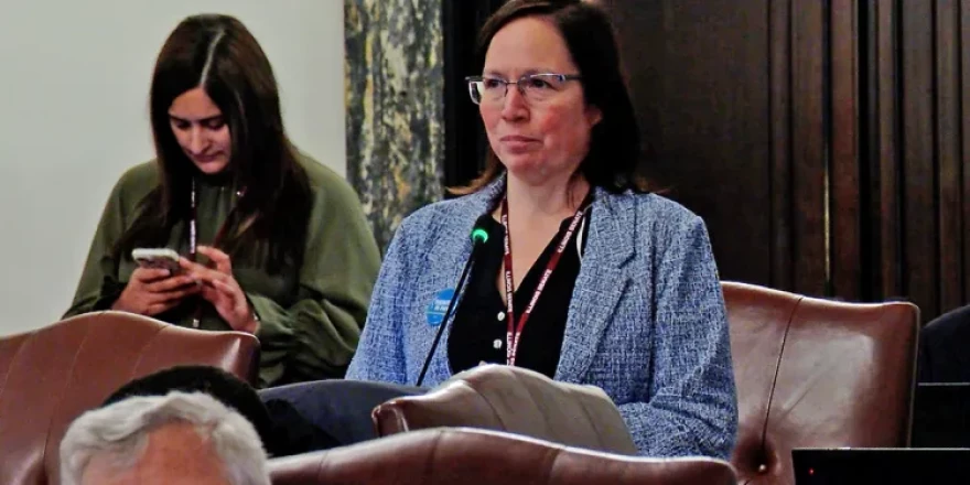 Sen. Cristina Castro, D-Elgin, discusses the Dignity in Pay Act in the Illinois Senate on Thursday.
