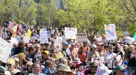 Participants in the No Kings protest gather in Birmingham's Railroad Park