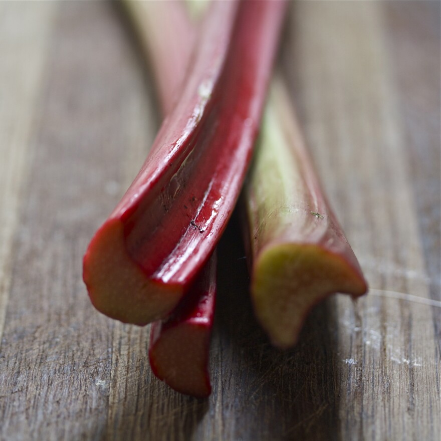 Rhubarb stalks