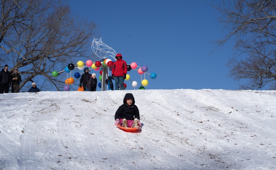 A snowfall that began late Saturday coated Raleigh, drawing eager sledders to Dix Park on Sunday to enjoy the winter weather.