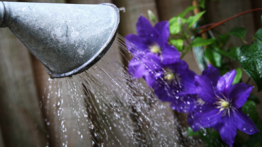 But watering cans are still OK. (2008 file photo from London.)