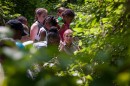 Campers listen to Katie Dreas of the U.S. Fish and Wildlife Service explain foliage during a summer camp at Little Creek Nature Center on July 17, 2017.