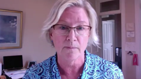 Bloomington attorney Kitty Liell speaks on Zoom.