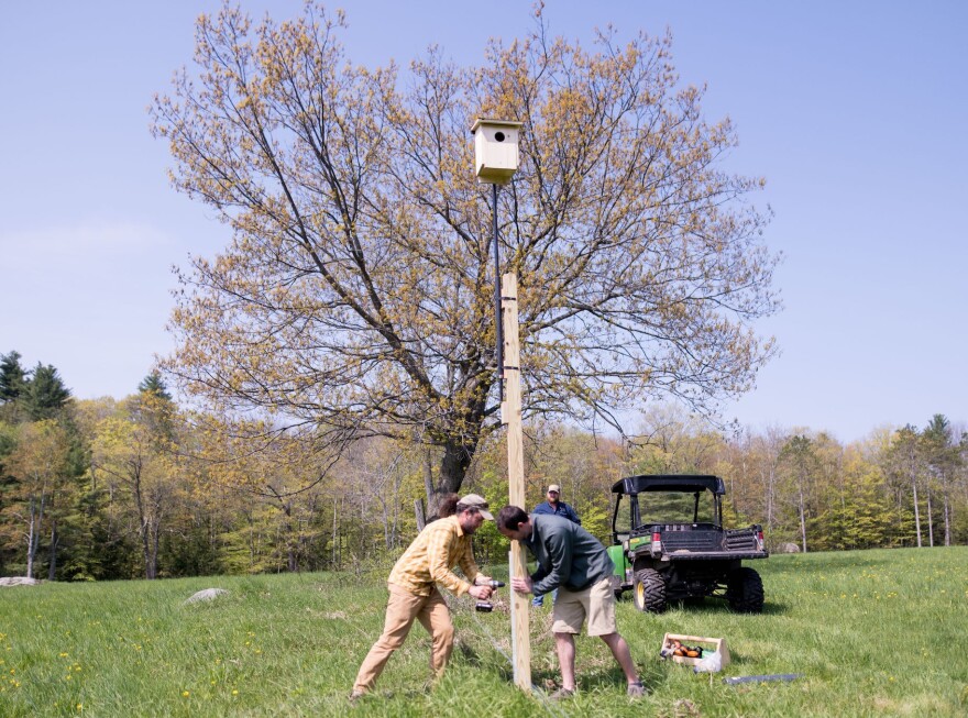 Installing a nest box on a farm.