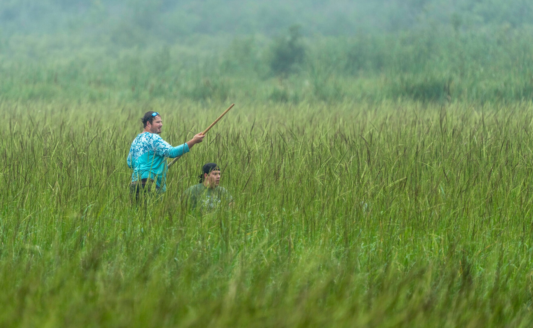 Wild Rice Season Unique year for wild rice with abundant, accessible stands | KAXE