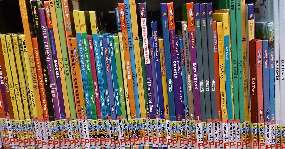 This School Doesn't Have A Library. 2 Teens Want To Change That