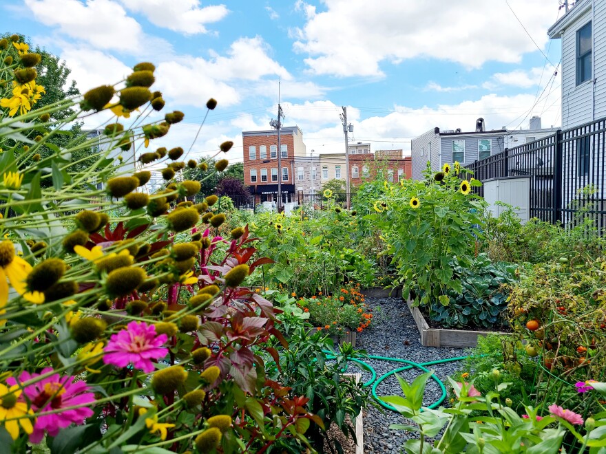 Locust Point Community Garden faces an uncertain future at the hands of Under Armour.