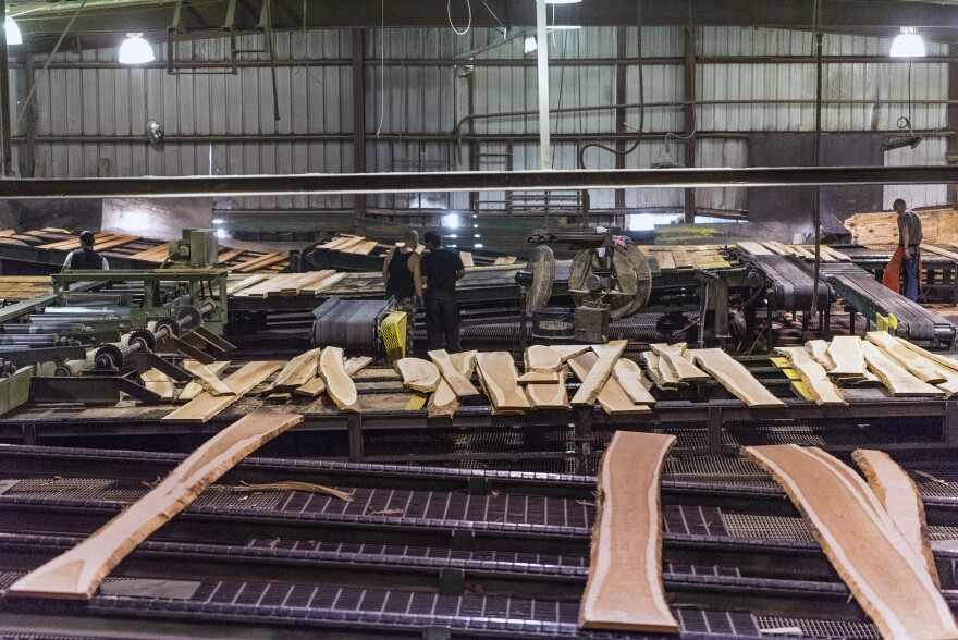 Boards make their way into the mills sorting area.