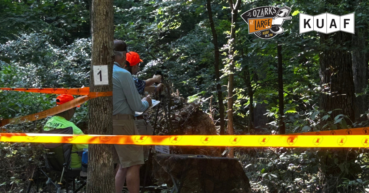 Why hunter education alone may not keep kids safe from guns