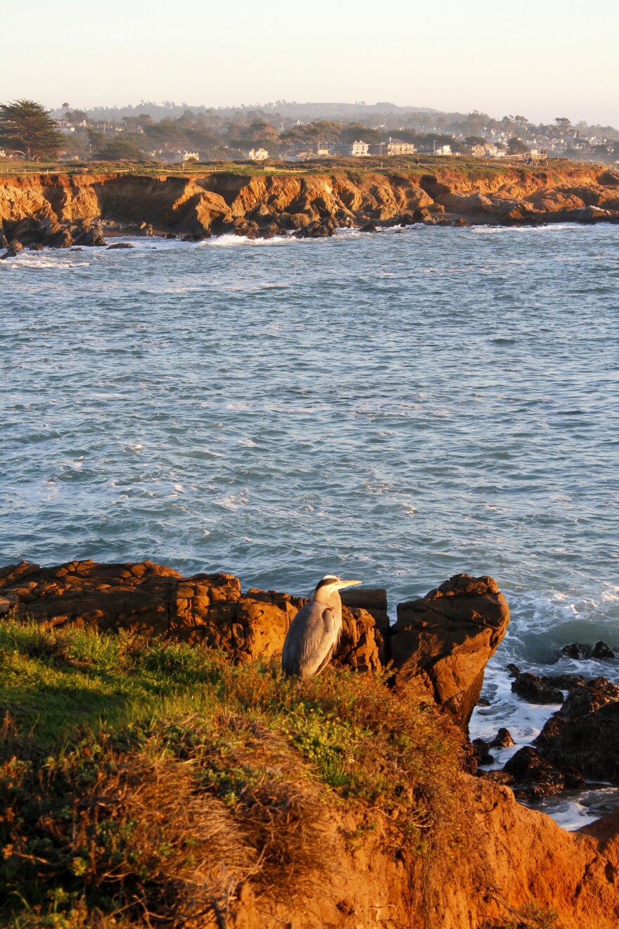 Cambria's Moonstone Beach at sundown