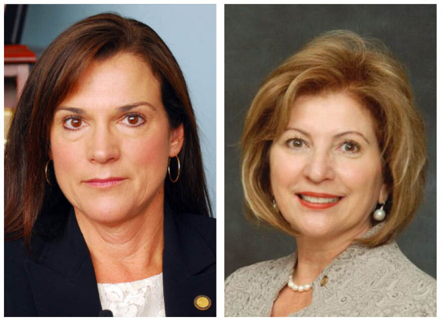 Republican incumbent Dana Young (left) and Democrat Janet Cruz (right) are locked in a razor-thin fight to be the next state senator for district 18 in Hillsborough County.