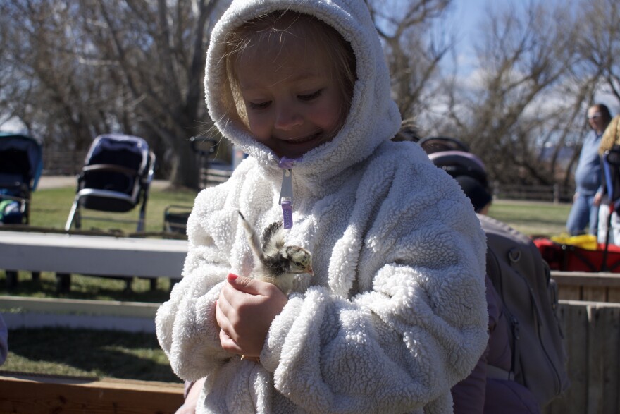 Participants at Baby Animal Days at the American West Heritage Center interact with animals and explore hands-on activities during the annual spring event.