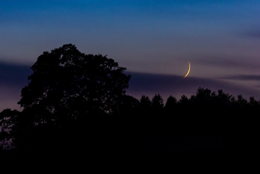 New Moon Crescent