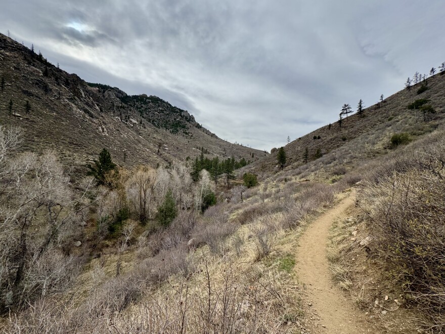 A trail through the Poudre Canyon in northern Colorado 