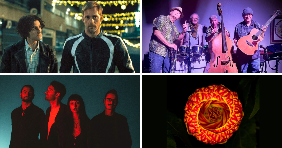 Weekend picks: Pillion, Bloodsugar & Foster Care Museum