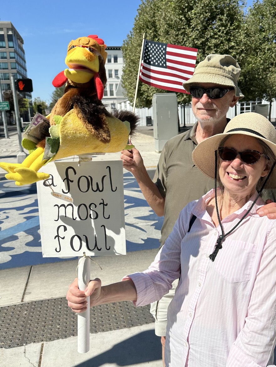 Woman with protest sign and stuffed chicken toy.