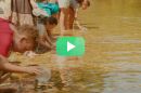 Children pouring fish from cups into a river / green play button