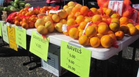 As temperatures drop, sacks of freshly-picked Louisiana citrus pile up.