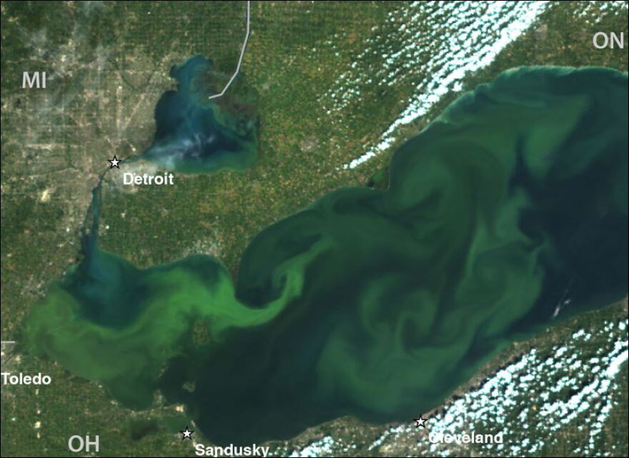 The lawsuit claims the U.S. EPA isn't taking legally mandatory actions to address cyanobacteria blooms in western Lake Erie