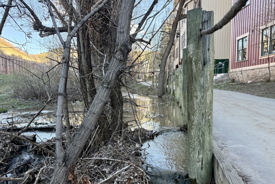 Poison Creek swells in size during the spring of 2026.