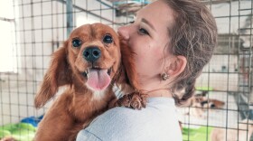 A woman holds a happy small dog at an animal shelter