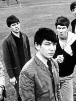 The Animals.