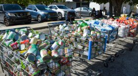 Shopping carts of canned foods