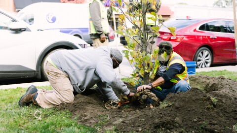 In 2022, Mayor Mike Duggan and U.S. Sen. Debbie Stabenow joined American Forests, DTE Energy, Detroit Future City, and the Greening of Detroit for a joint initiative to plan more than 75 thousand trees, employ more than 300 Detroit residents in tree care and maintenance, and invest $30 million in Detroit neighborhoods. This is a five-year project to beautify Detroit while protecting residents who are at risk from extreme heat.