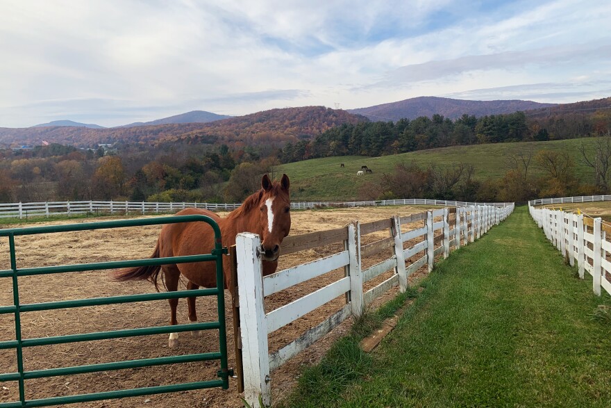 Hollins is well-known for its equestrian program. Some students bring their own horses to board at the campus stable.