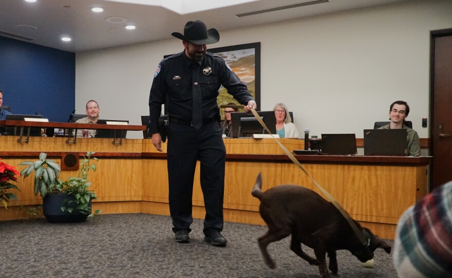 Bruno rushes after the ball, symbolizing he accepts his duties as a Park City Police Department K9.