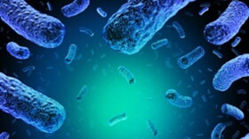 Listeria can cause severe illness and the bacteria causing the disease can survive and even thrive in cold temperatures.