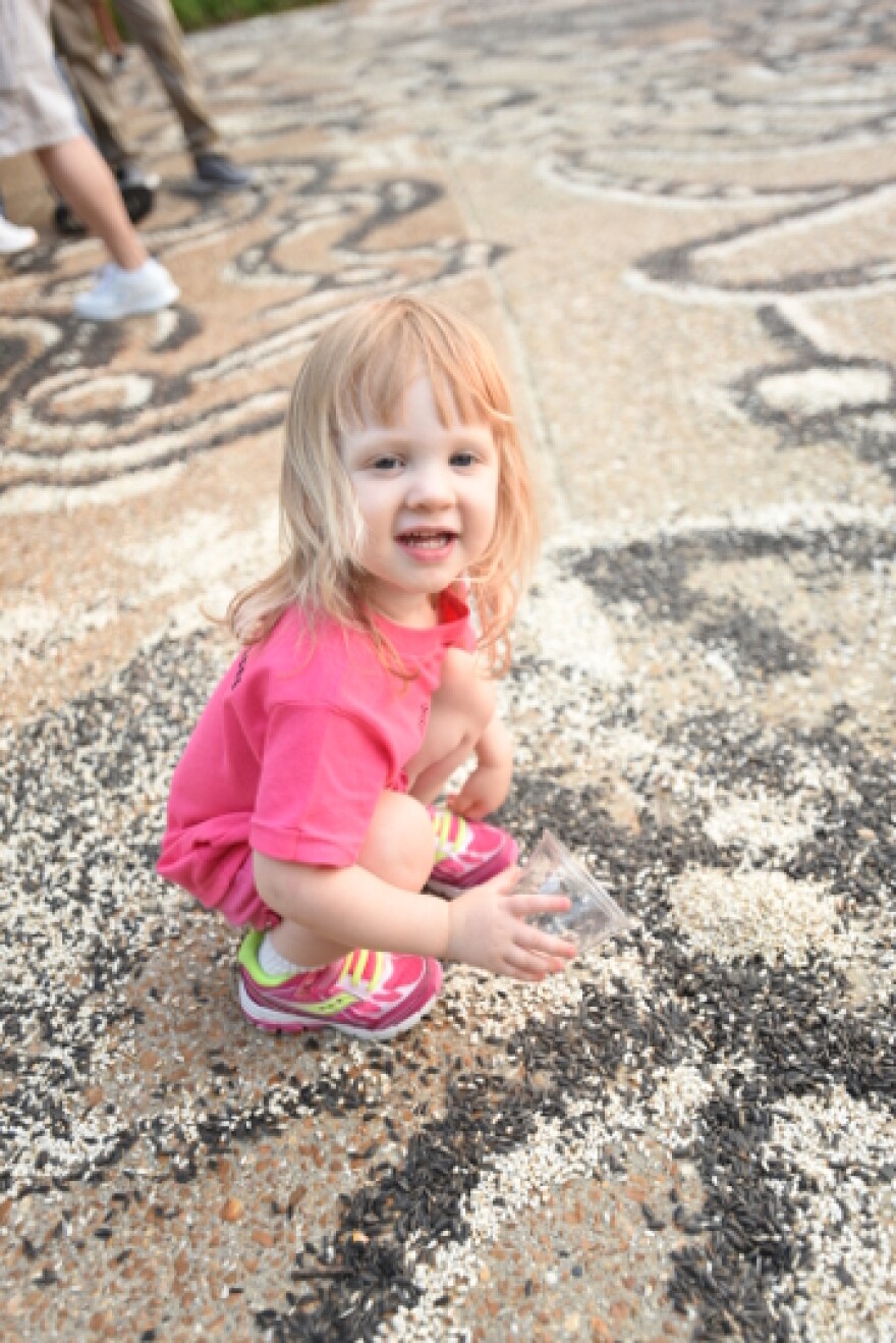 A child enjoys Jessica Witte's seed-art project in Belleville in August 2015.