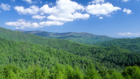 The Nantahala National Forest lies in the mountains and valleys of southwestern North Carolina.