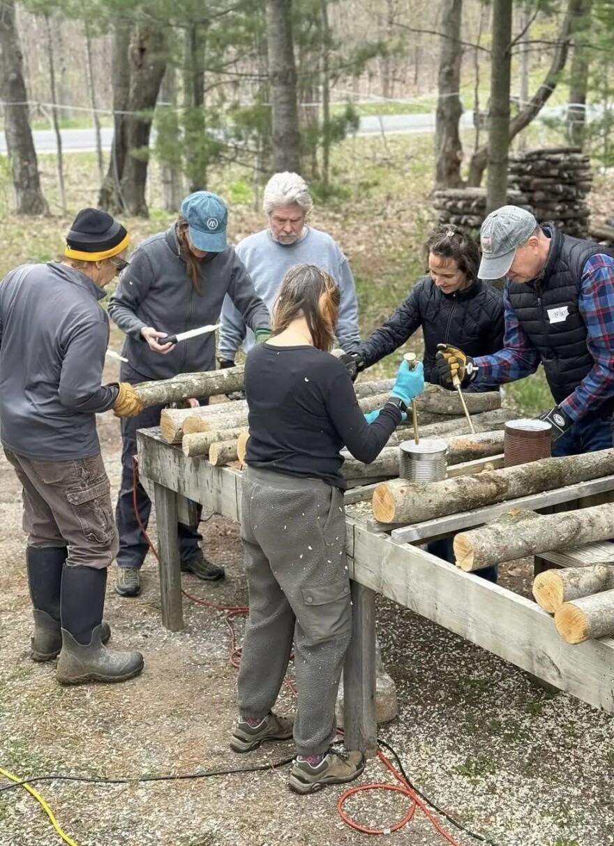 Green Door Folk School students learn how to grow mushrooms in the wild.